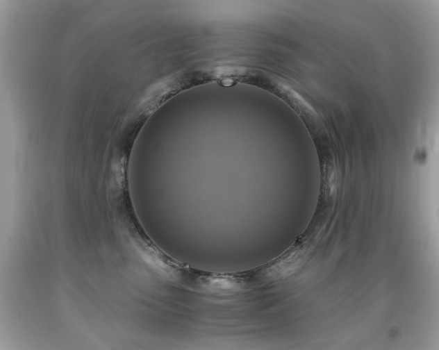 X0000091860475200709051212