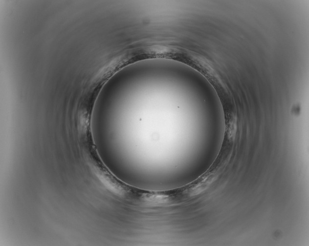 X0000091860476200709051212