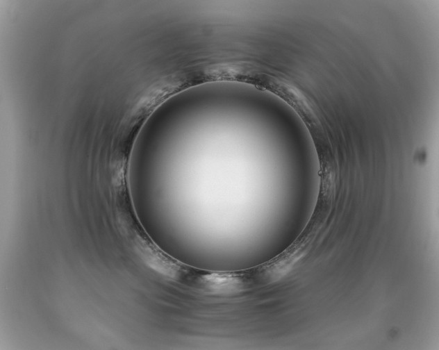 X0000091860477200709051212