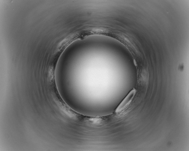 X0000091860478200709051212