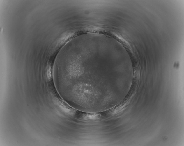 X0000091860479200709051212