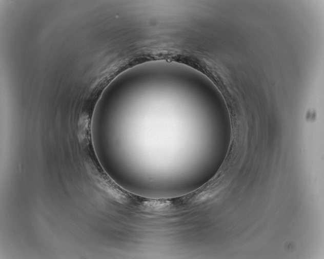 X0000091860480200709051212