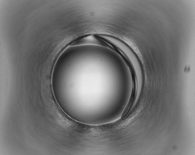 X0000091860481200709051211