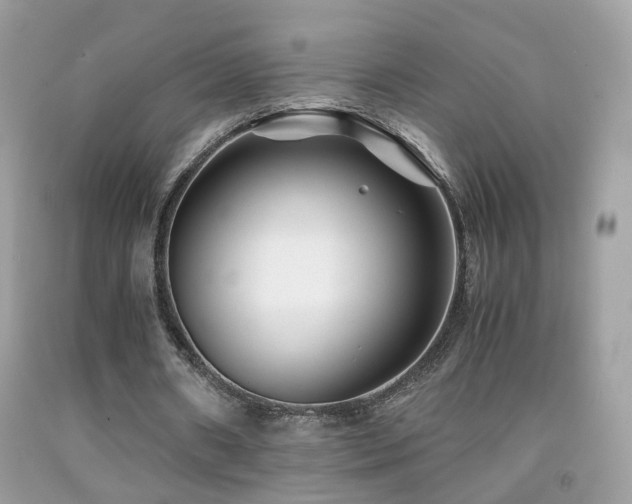 X0000091860482200709051211