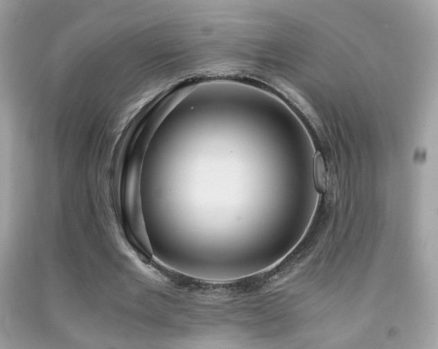 X0000091860485200709051211