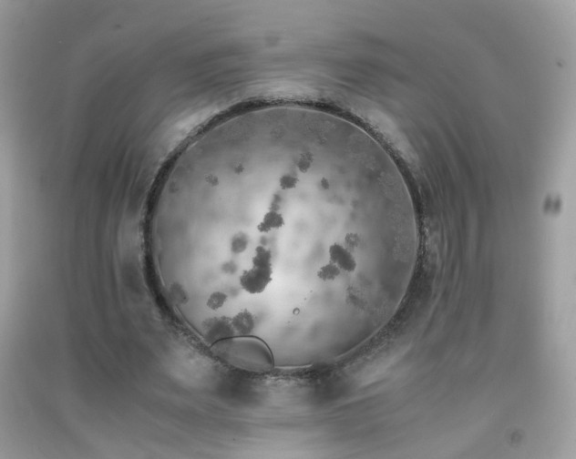 X0000091860487200709051211