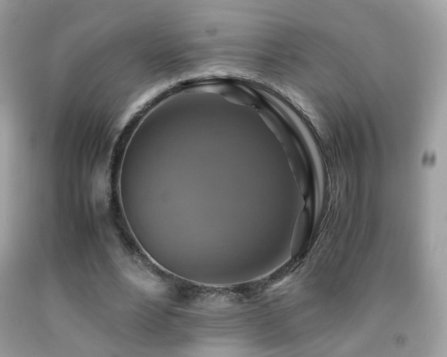 X0000091860488200709051211