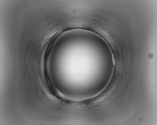 X0000091860489200709051211