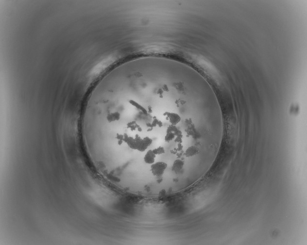 X0000091860491200709051211