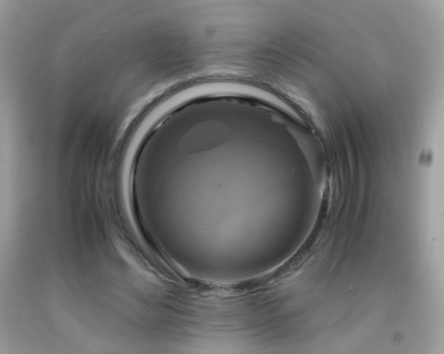 X0000091860492200709051211