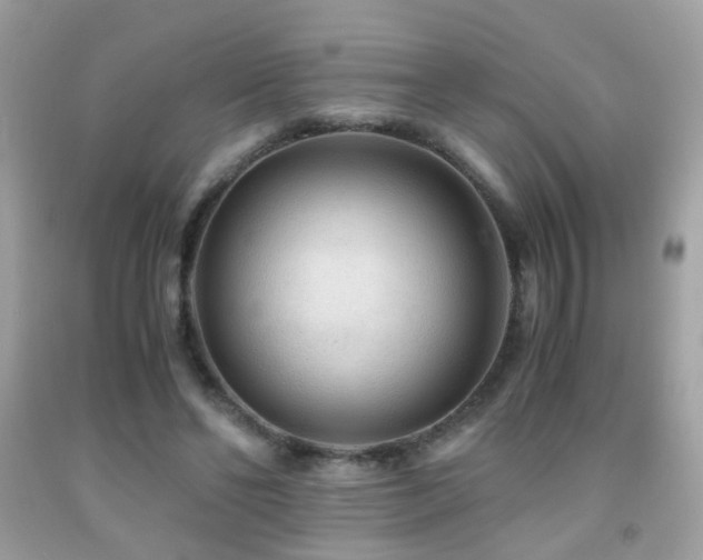 X0000091860494200709051211