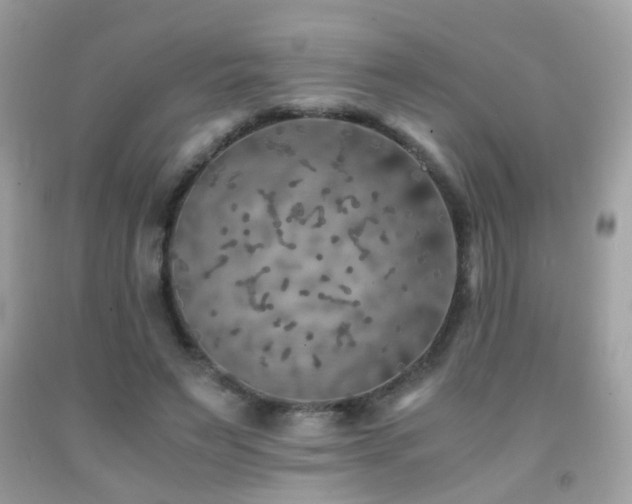 X0000091860495200709051211