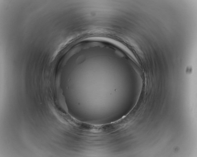 X0000091860496200709051211