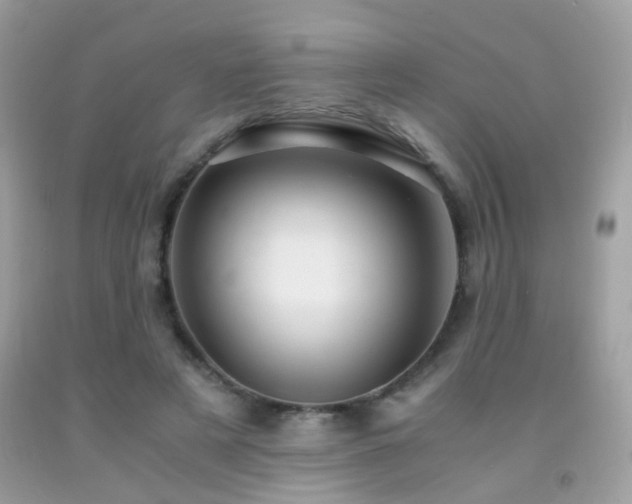 X0000091860497200709051211