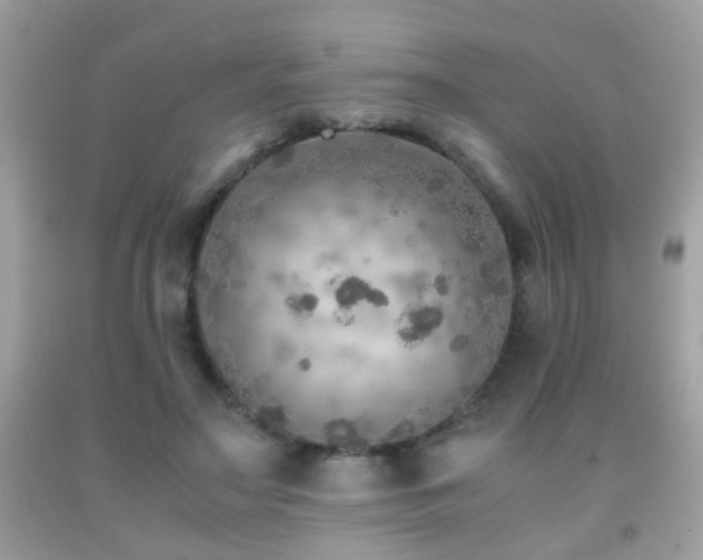 X0000091860499200709051211