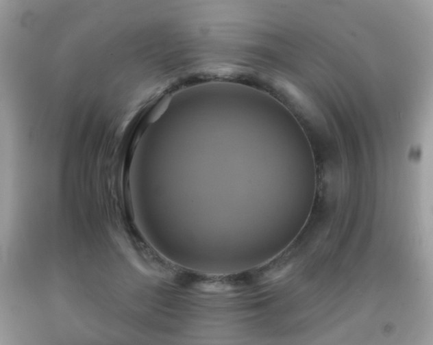 X0000091860500200709051211