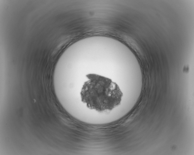 X0000091860501200709051211