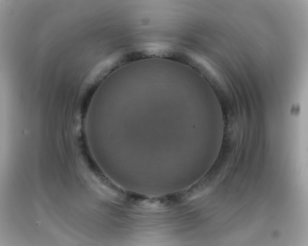 X0000091860502200709051211