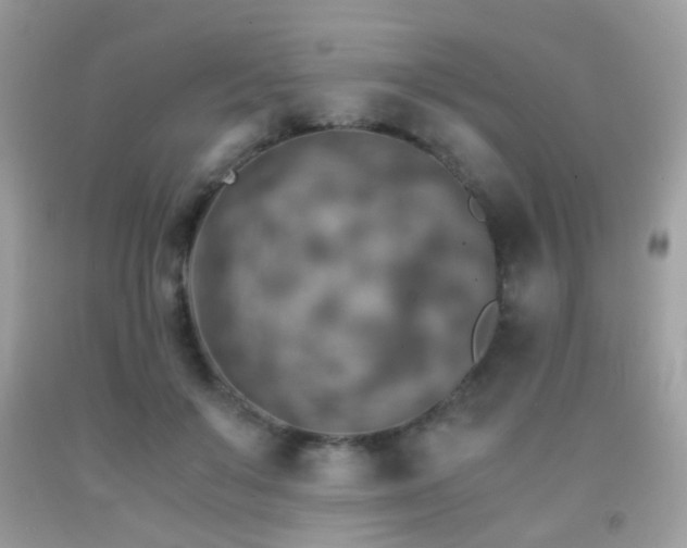 X0000091860503200709051211