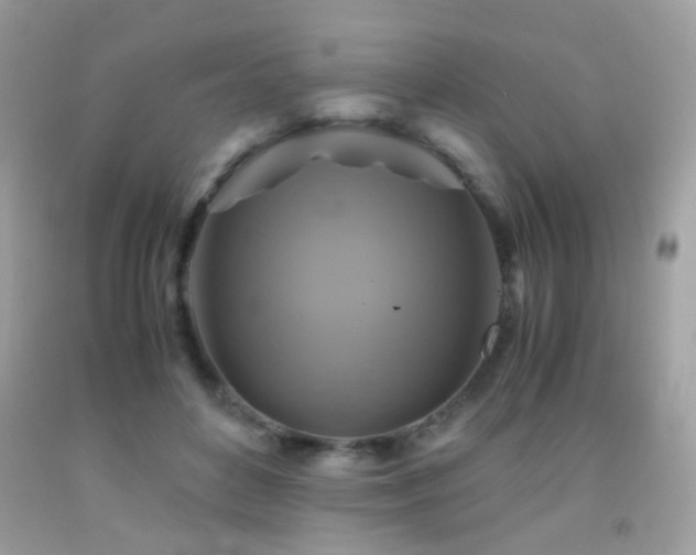 X0000091860504200709051211