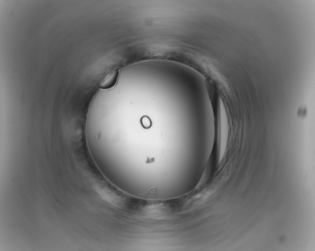 X0000091860505200709051211