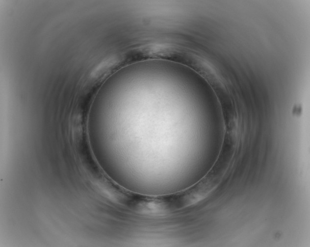 X0000091860506200709051211