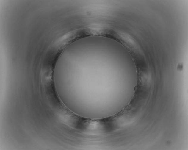 X0000091860507200709051211