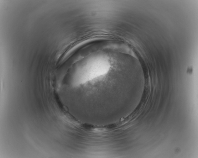 X0000091860508200709051211