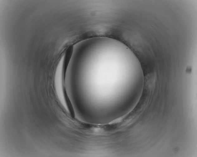 X0000091860509200709051211