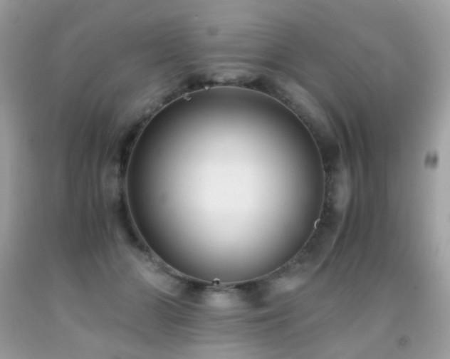 X0000091860510200709051211