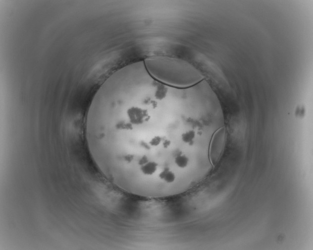 X0000091860511200709051211