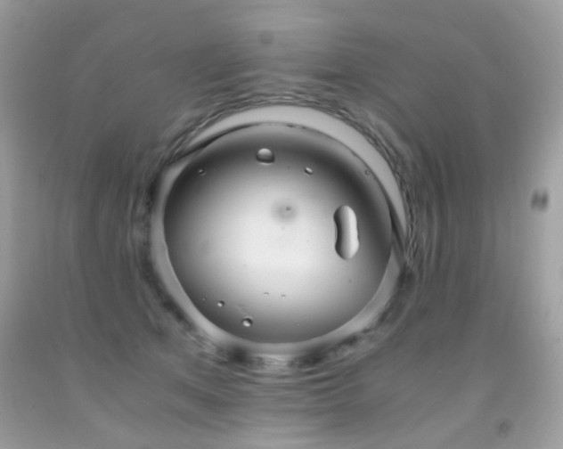 X0000091860513200709051211