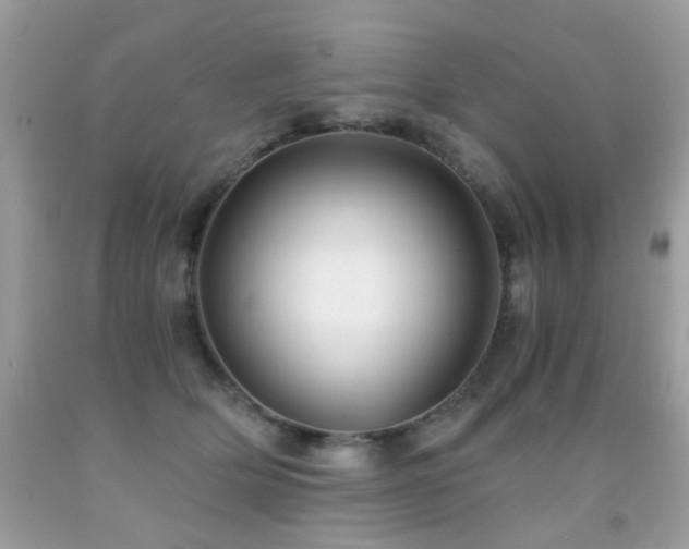 X0000091860514200709051211