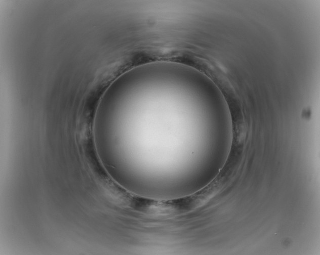 X0000091860515200709051211