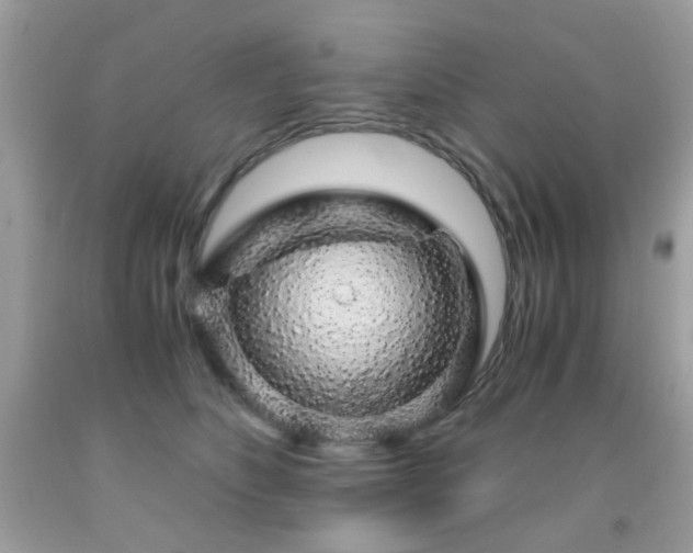 X0000091860516200709051211