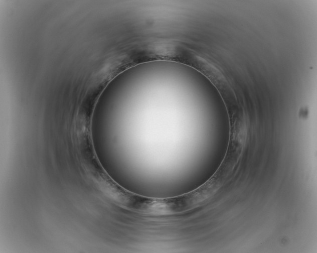 X0000091860518200709051211