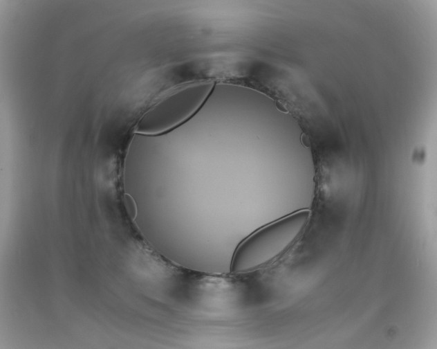 X0000091860519200709051211