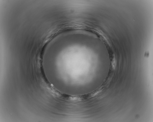 X0000091860520200709051211