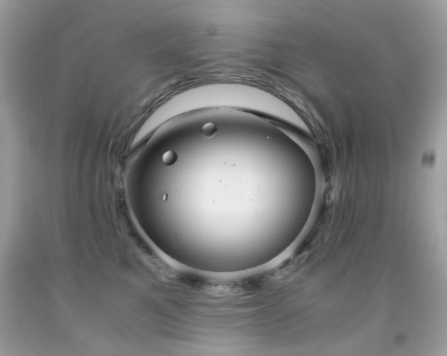 X0000091860521200709051211