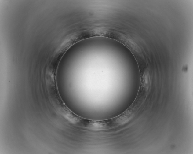 X0000091860522200709051211