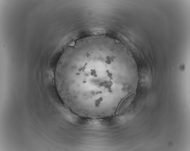 X0000091860523200709051211