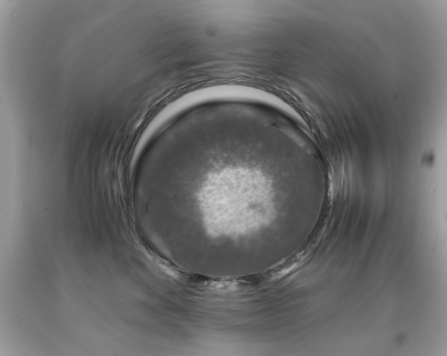 X0000091860524200709051211