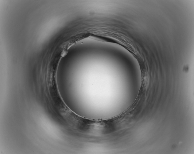 X0000091860525200709051211