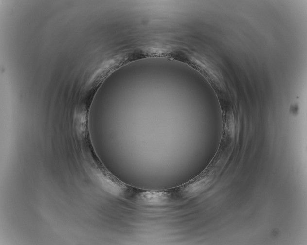 X0000091860526200709051211