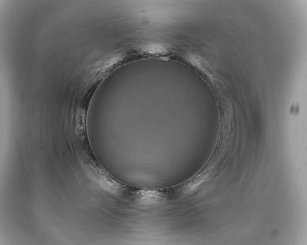 X0000091860528200709051211