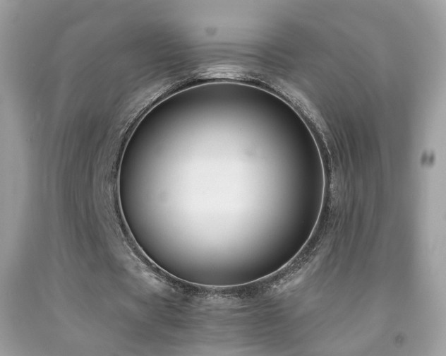 X0000091860529200709051210