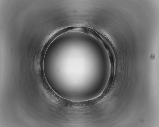 X0000091860532200709051210