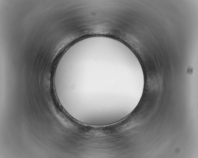 X0000091860534200709051210