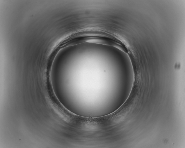 X0000091860535200709051210