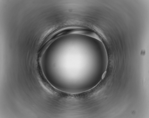 X0000091860538200709051210